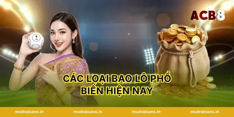 các loại bao lô phổ biến hiện nay