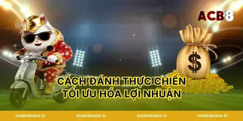 Cách đánh thực chiến tối ưu hóa lợi nhuận