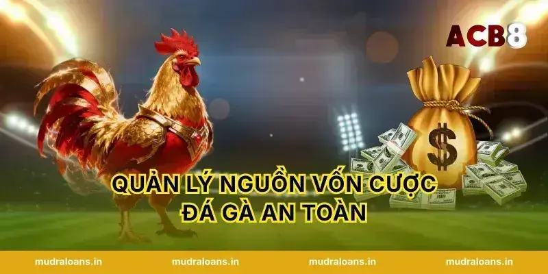 Quản lý nguồn vốn cược đá gà an toàn
