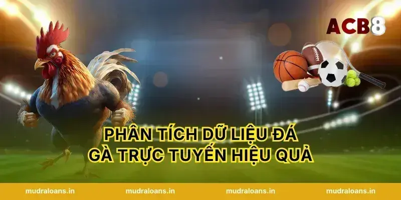 Phân tích dữ liệu đá gà trực tuyến hiệu quả