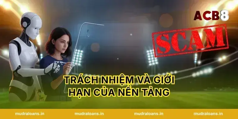 Trách Nhiệm Và Giới Hạn Của Nền Tảng