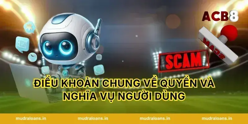 Điều Khoản Chung Về Quyền Và Nghĩa Vụ Người Dùng