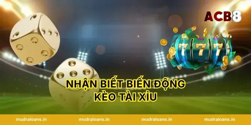 Nhận Biết Biến Động Kèo Tài Xỉu
