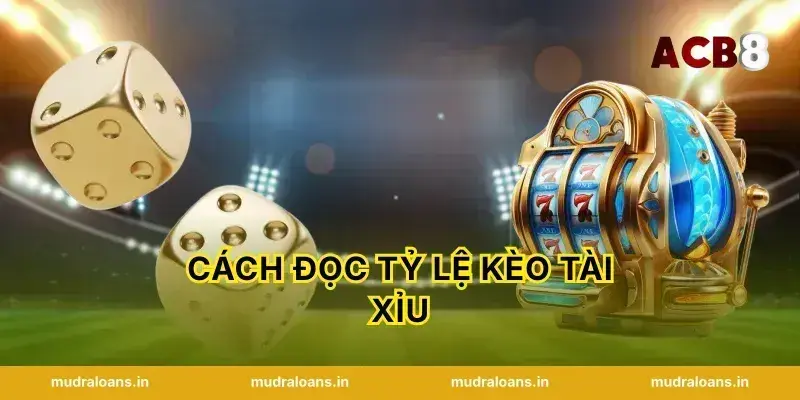 Cách Đọc Tỷ Lệ Kèo Tài Xỉu